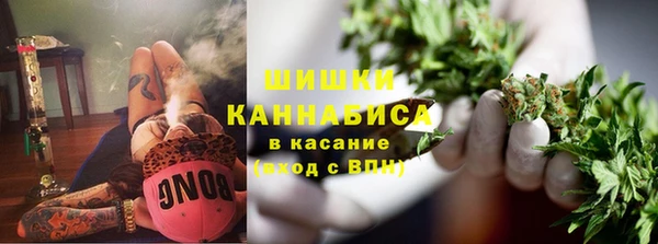 дурь Алзамай