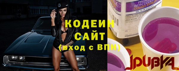 дурь Алзамай
