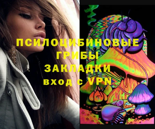 дурь Алзамай