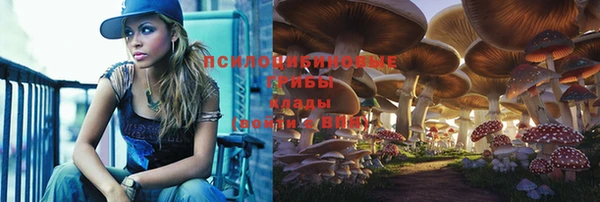 спайс Алексин