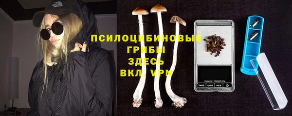 спайс Алексин